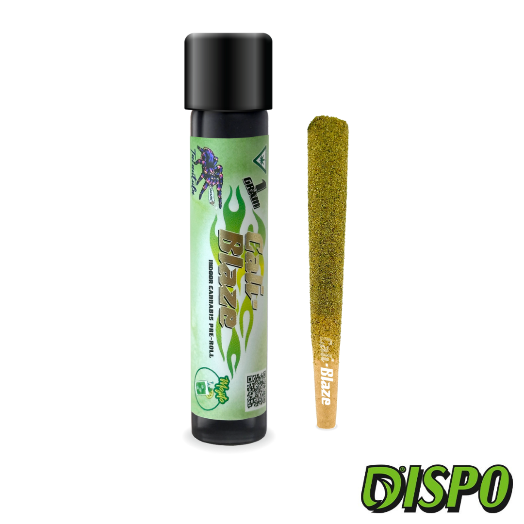 Photograph of product: Cali Blaze - Mojito 1G Infused Tarantula
