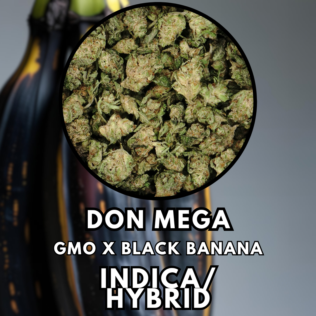 Photograph of product: Flower - Speak Easy - Special Tier - 28g