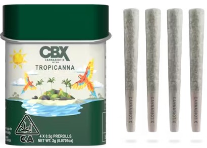 Photograph of product: Tropicanna [S] - Prerolls 4PK