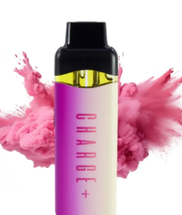 Photograph of product: Disposable Distillate Vape - Pineapple Punch x Pink Guava  - 2g