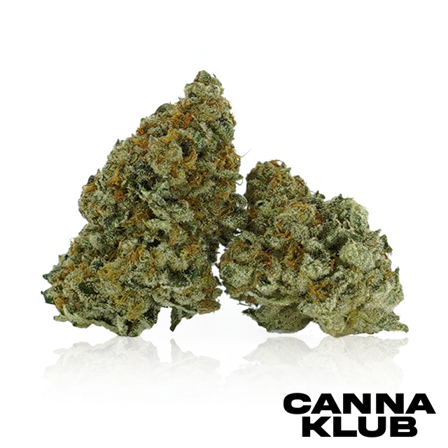 Photograph of product: NECTARINA X RED RUNTZ 14G *2 FOR 170*