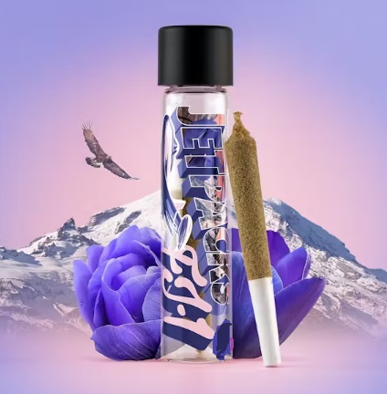 Photograph of product: Jetpacks | Afghani | Oui'd | FJ Mini | Kief&Dist Infused preroll