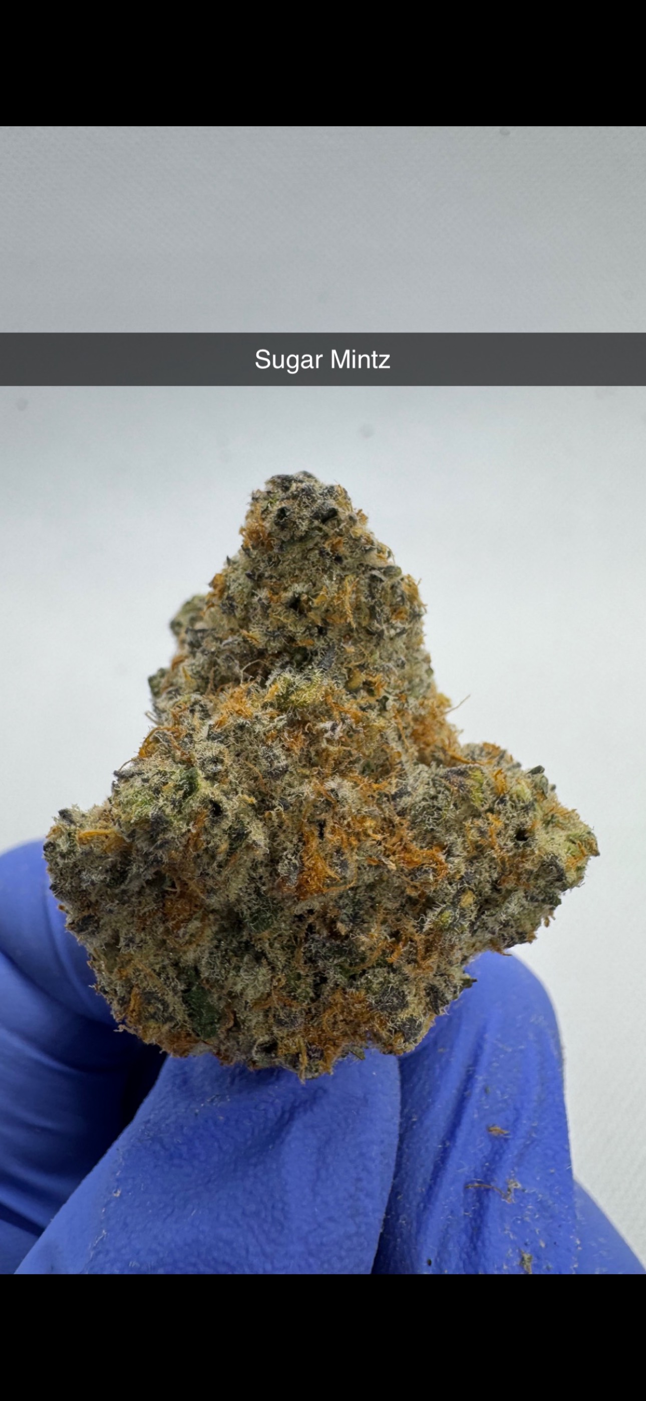 Photograph of product: Sugar Mintz - Flower - Hybrid - 28g