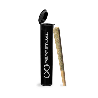 Photograph of product: Permanent Marker Preroll 1g (H)