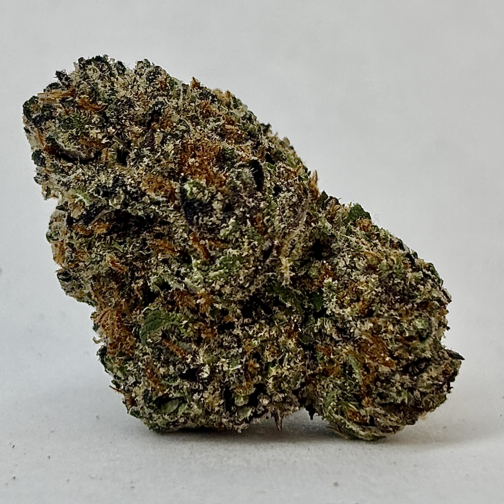 Photograph of Product: LemonCherryGelato-Flower-|HRBD - 3.5g