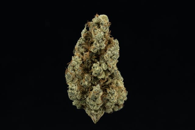 Photograph of product: Maui Wowie Flower Sativa 3.5G - 