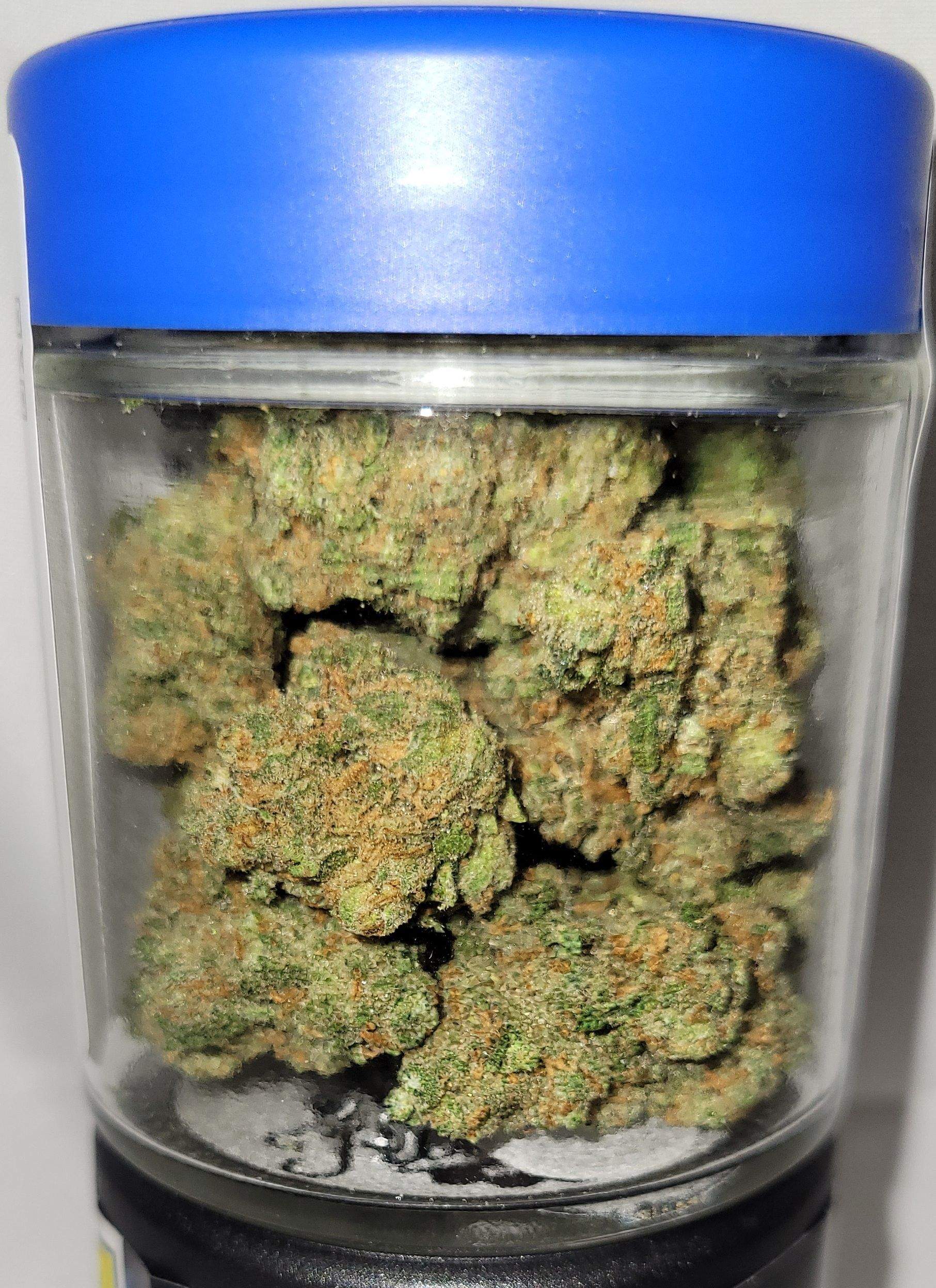 Photograph of product: Jack Herer | 7g *General Use Compliant*