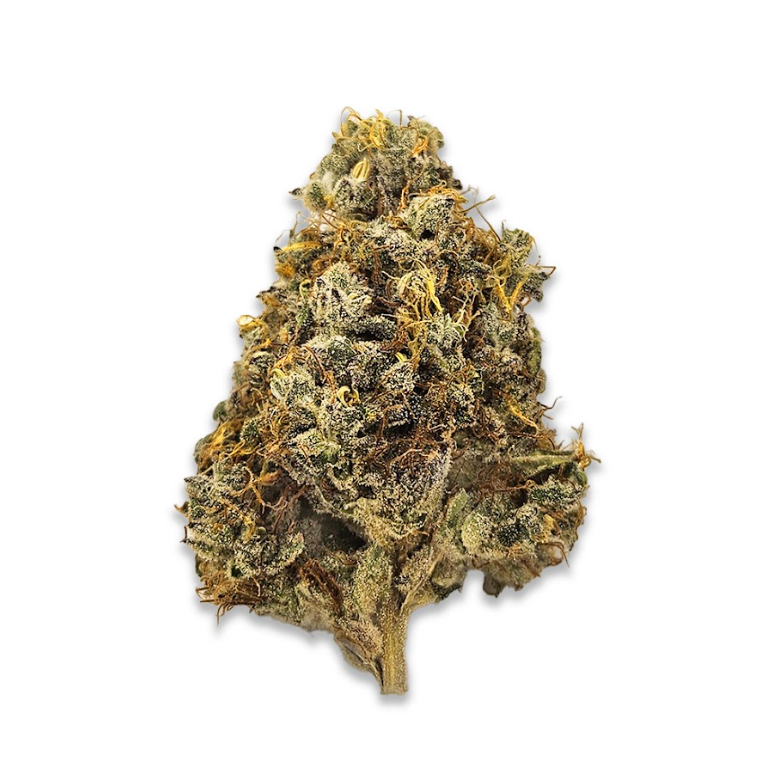 Photograph of product: Bandaid Haze IX 3.0 (Dec. '24 Harvest) - 28g
