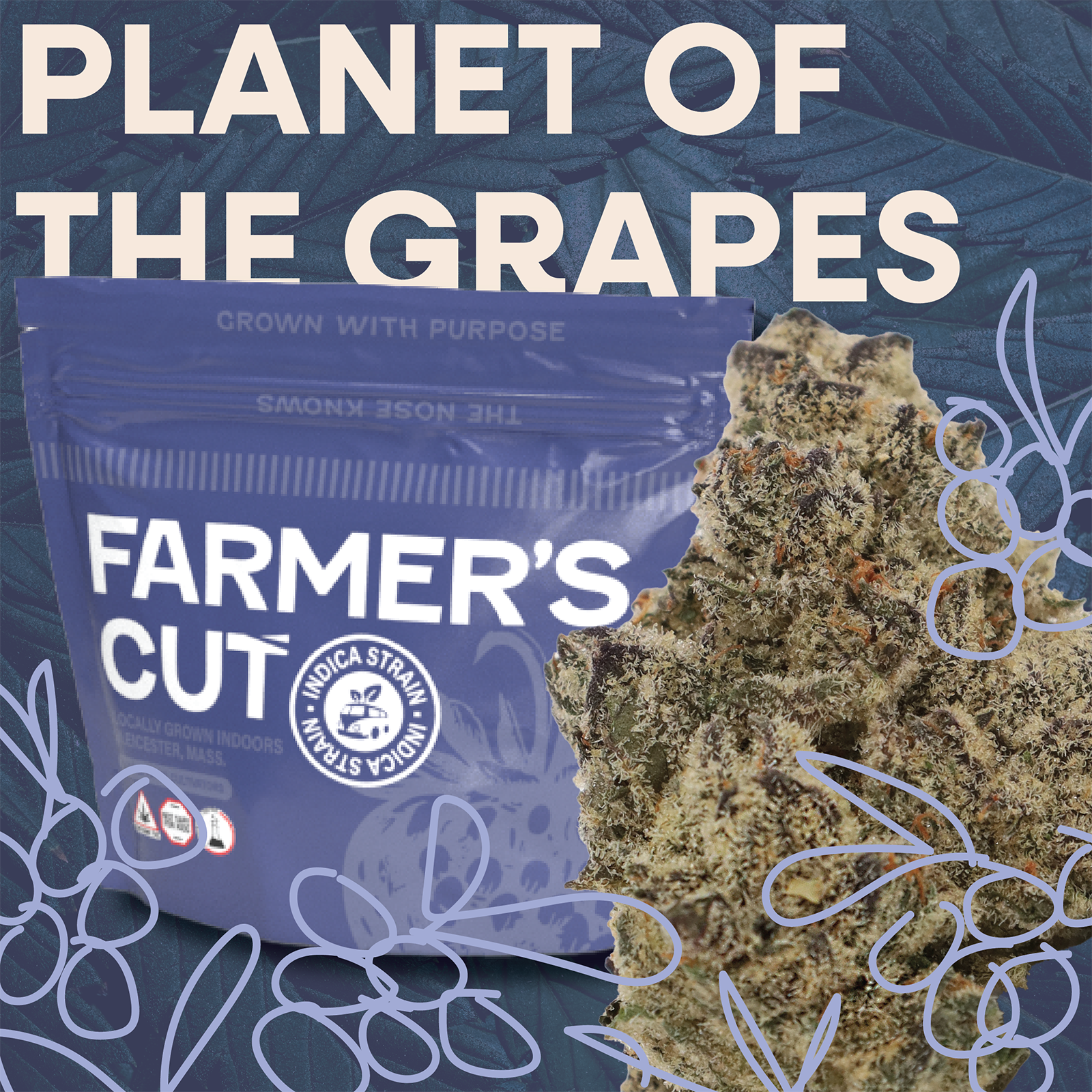 Photograph of product: Planet of the Grapes | Flower | 3.5g