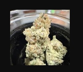 Photograph of product: Chimera Joint | 5280 (H)