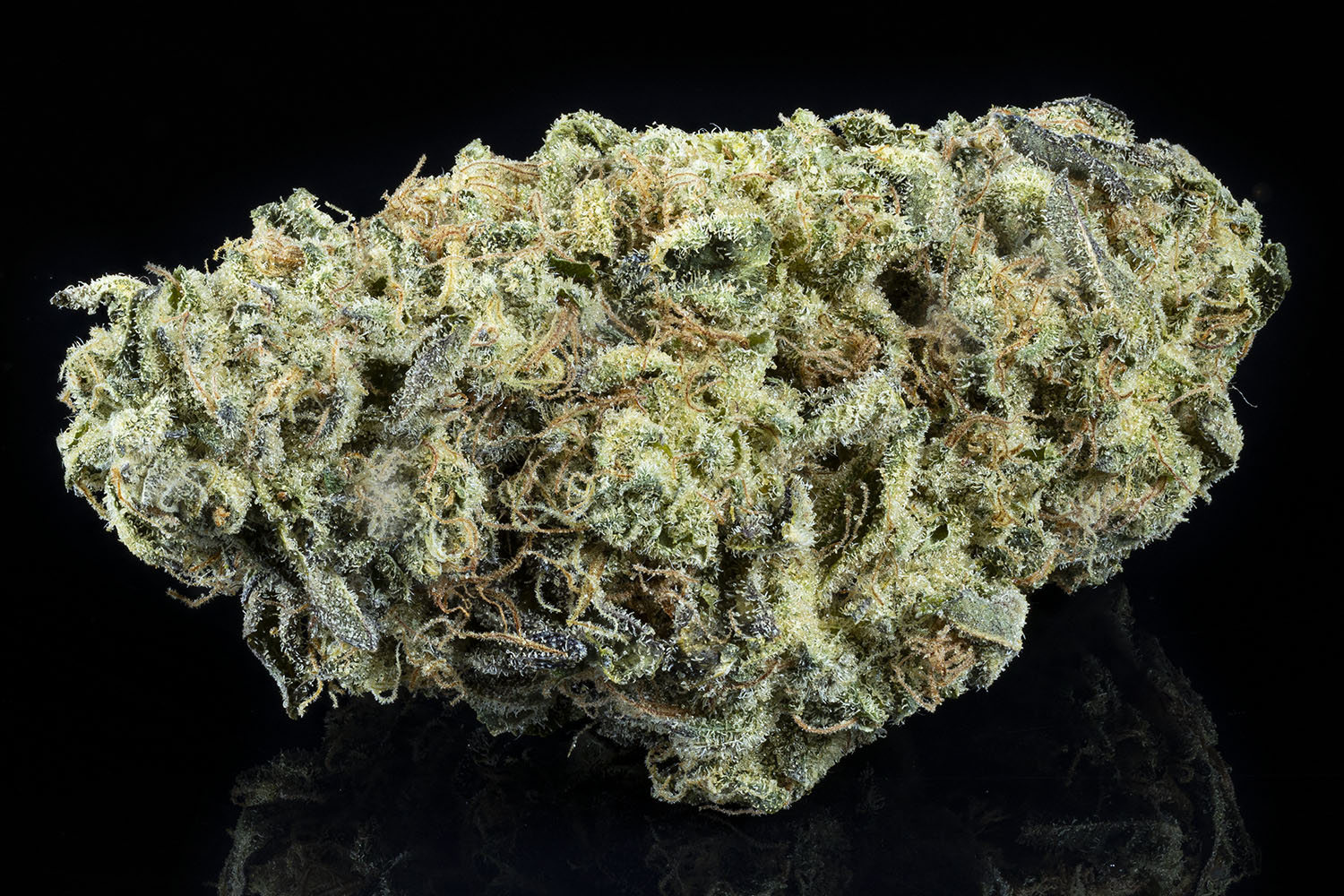 Photograph of product: Montana Silvertip - Bulk Flower - 28g