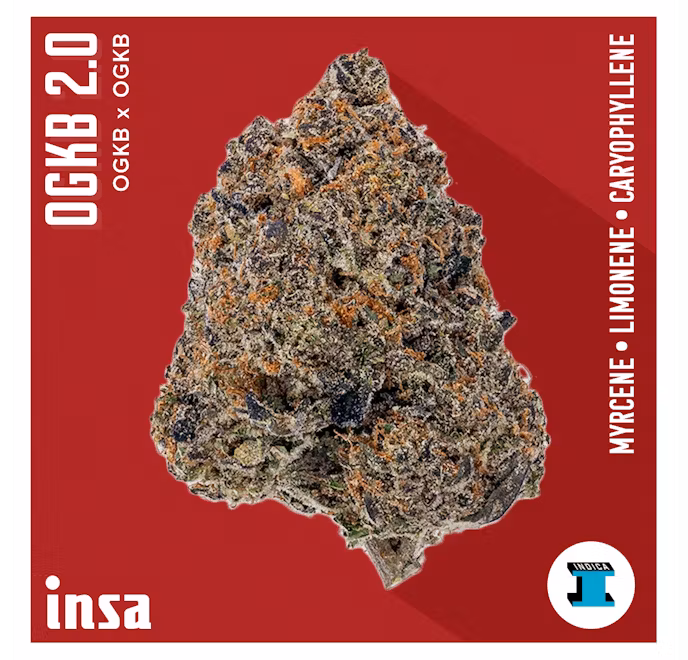 Photograph of product: Insa | OGKB 2.0 | 3.5g
