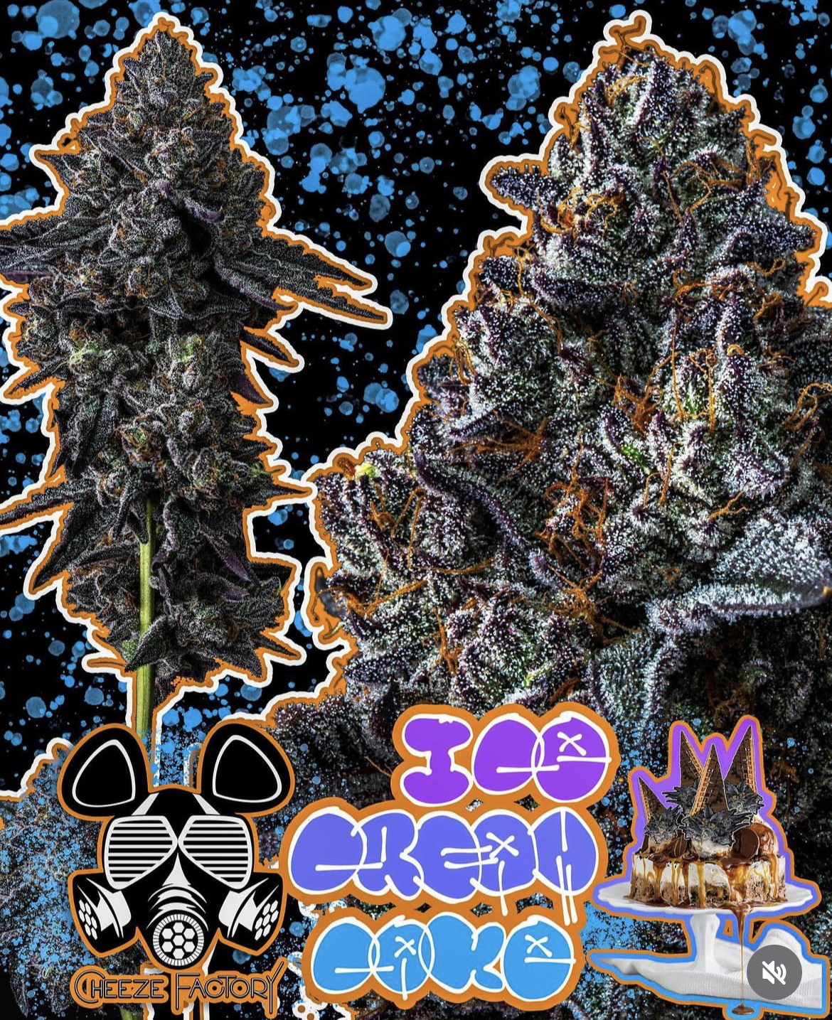 Photograph of product: Ice Cream Cake Pre-Roll | .5g