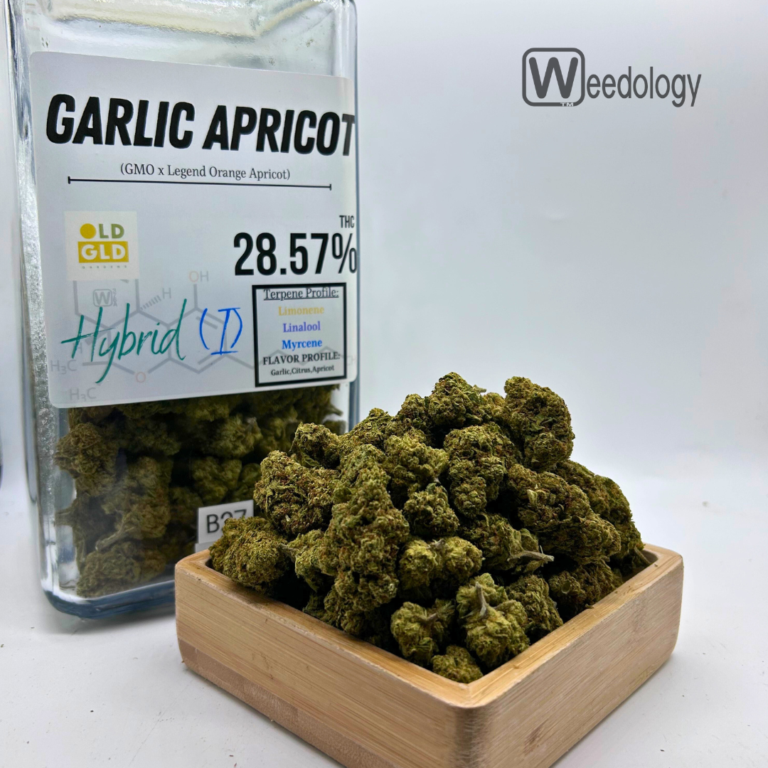 Photograph of product: Garlic Apricot (I-H) - 28g