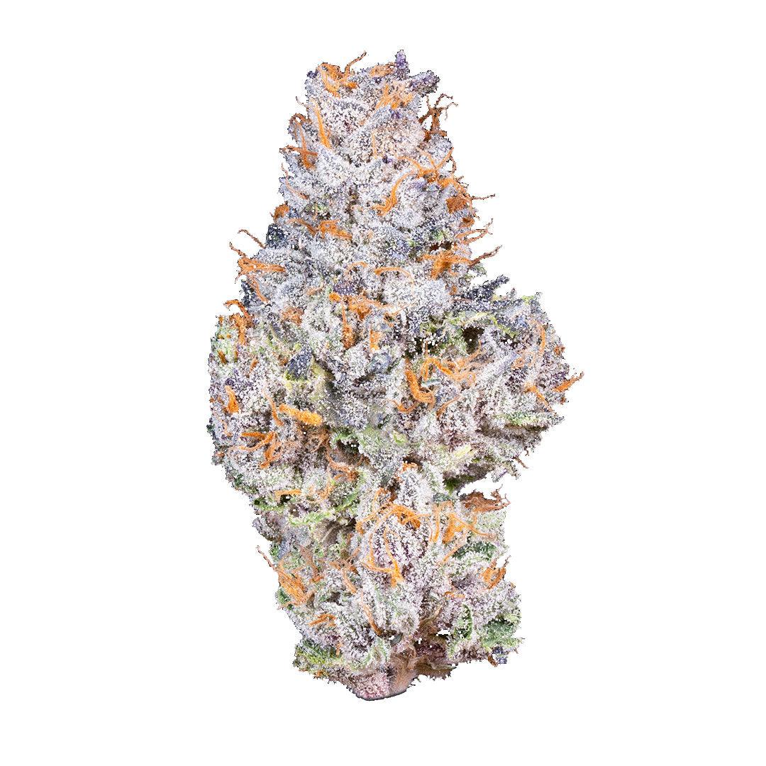 Photograph of product: Gelato 41 Bag | High Altitude - 28g