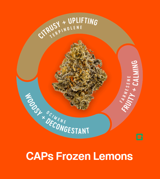 Photograph of product: VIVID | CAPS FROZEN LEMONS | PRE-PACK | 3.5G | Oui'd
