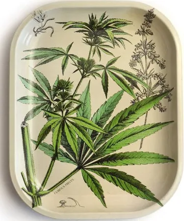 Photograph of product: Curious I Small Metal Tray I Oui'd Ritual