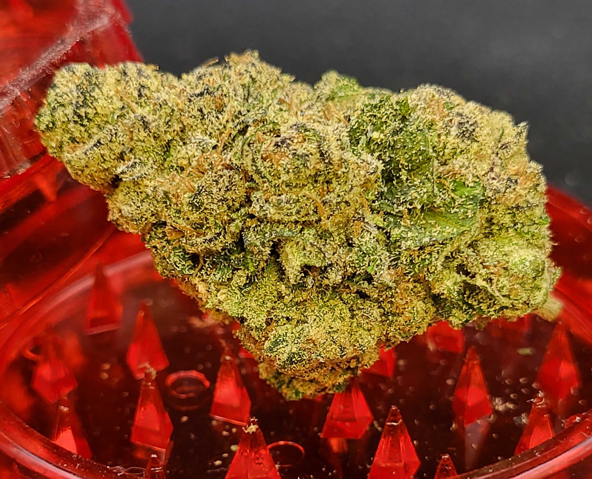 Photograph of product: Connoisseur Shelf - Lemonchello (H) - 28g