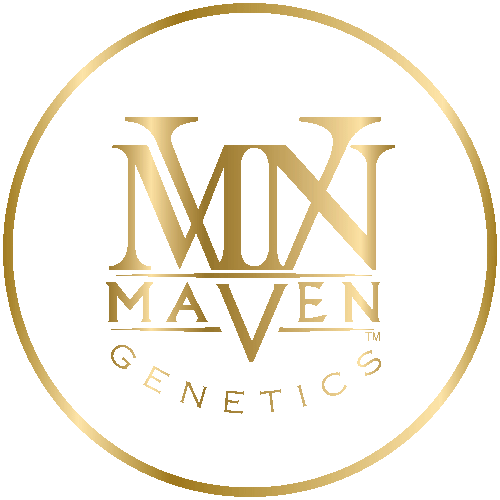 Photograph of product: Maven Genetics - Chrome Dome - 3.5G