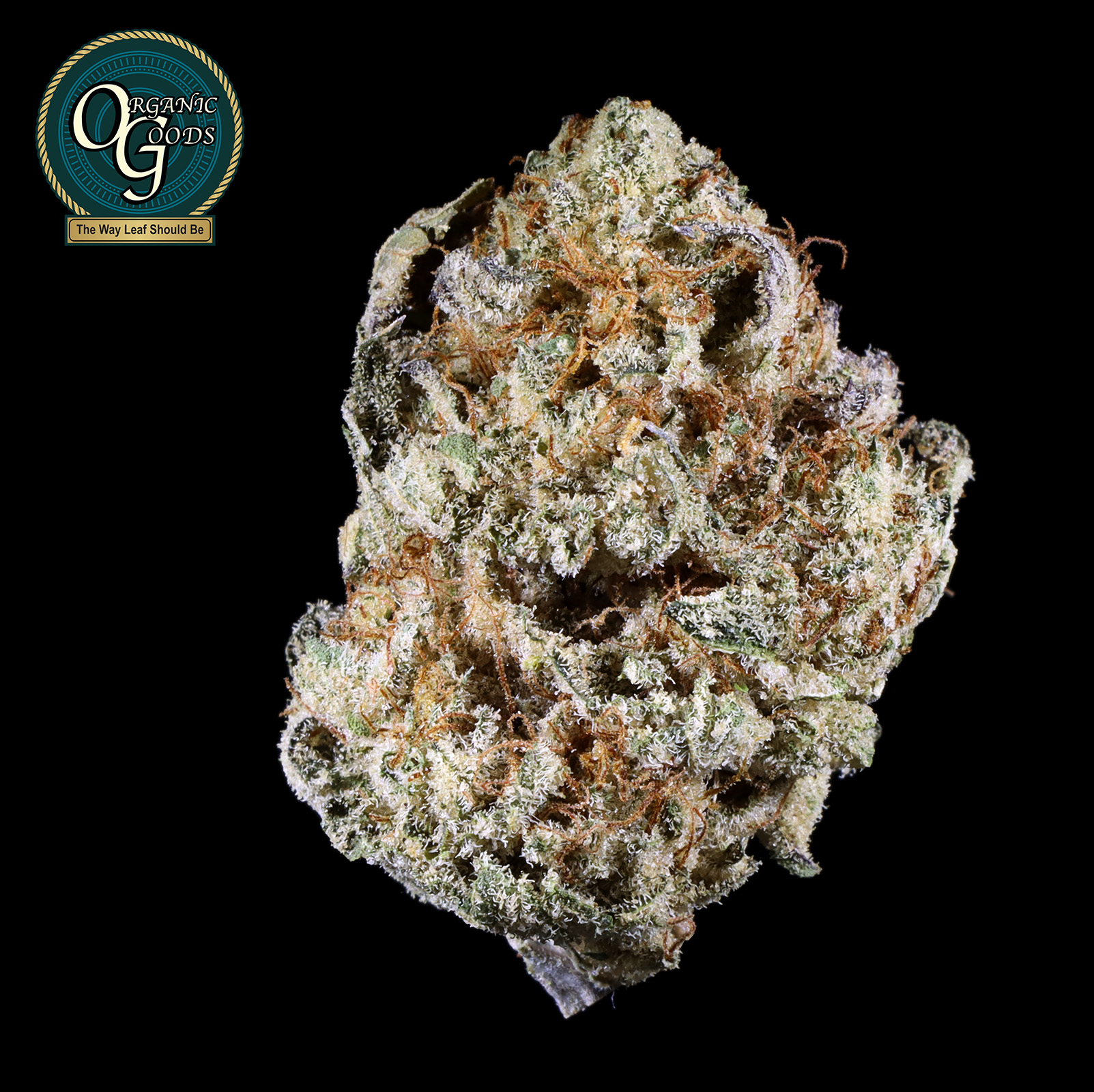 Photograph of product: Mr. Nasty cultivated by Casco Botanicals - 28g