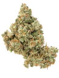 Photograph of product: Grown Rogue | Jack Herer | Bulk Flower - 28g