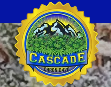 Photograph of product: CC-10PK-Oregon OG