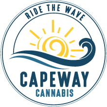Photograph of product: Capeway Oui'd T-Shirt