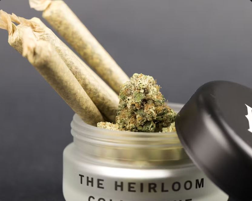 Photograph of product: Heirloom | Zour Apple Pre-roll 0.8g