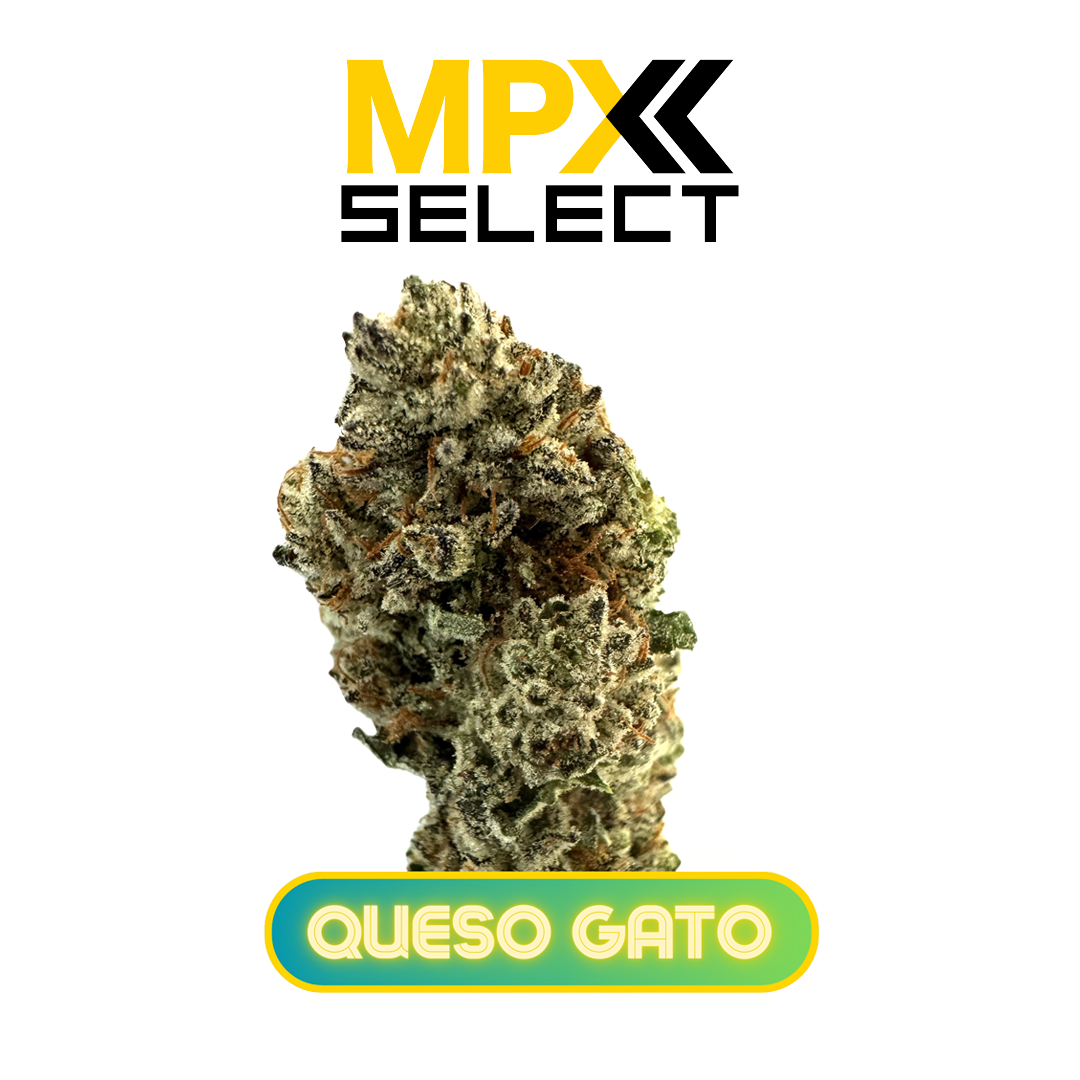 Photograph of product: MPX Select Select Queso Gato Flower - 3.5g