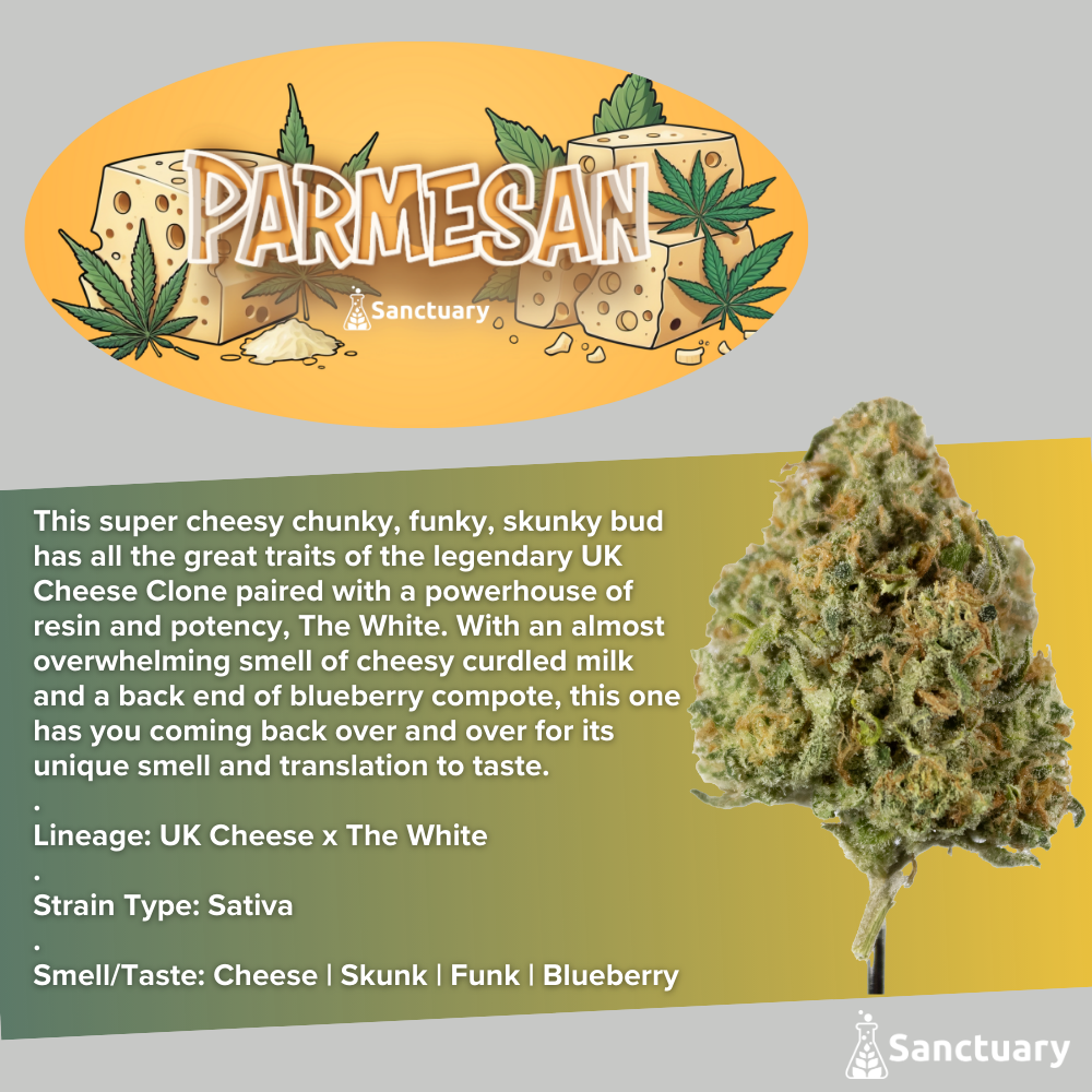 Photograph of product: Sanctuary Medicinals | 3.5g Flower | Parmesan