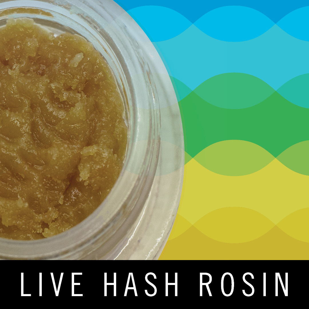 Photograph of product: Levitate - Live au chocolat Rosin Baller Jar - Guava Jamz - 3.5g