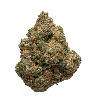 Photograph of product: Good Giggles | Headband (I-D) - 28g