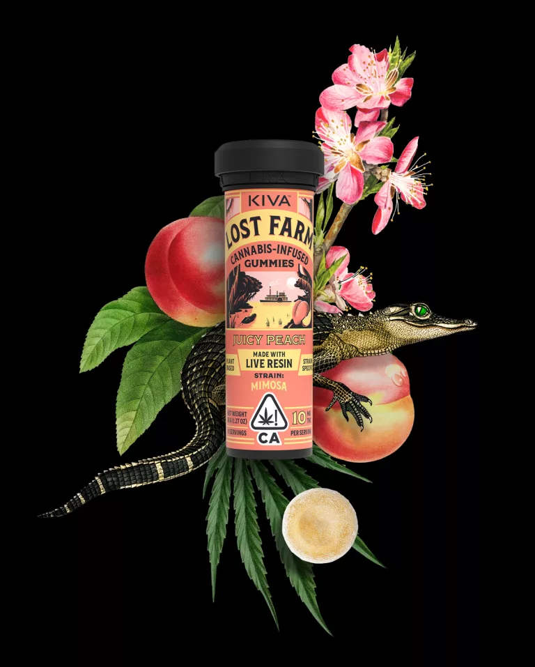 Photograph of product: Juicy Peach Lost Farm - 100mg Live Resin Gummies | Mimosa Strain | Kiva Edibles
