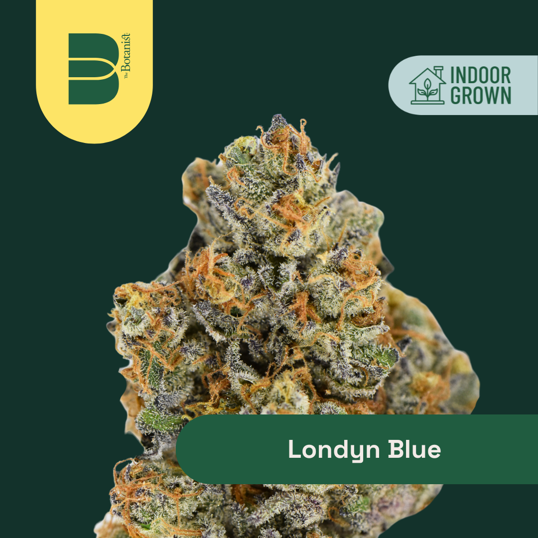 Photograph of product: Londyn Blue 14G Flower | The Botanist |