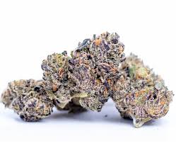 Photograph of product: Leafology White Runtz Bargain Buds 3.5g Hybrid Flower