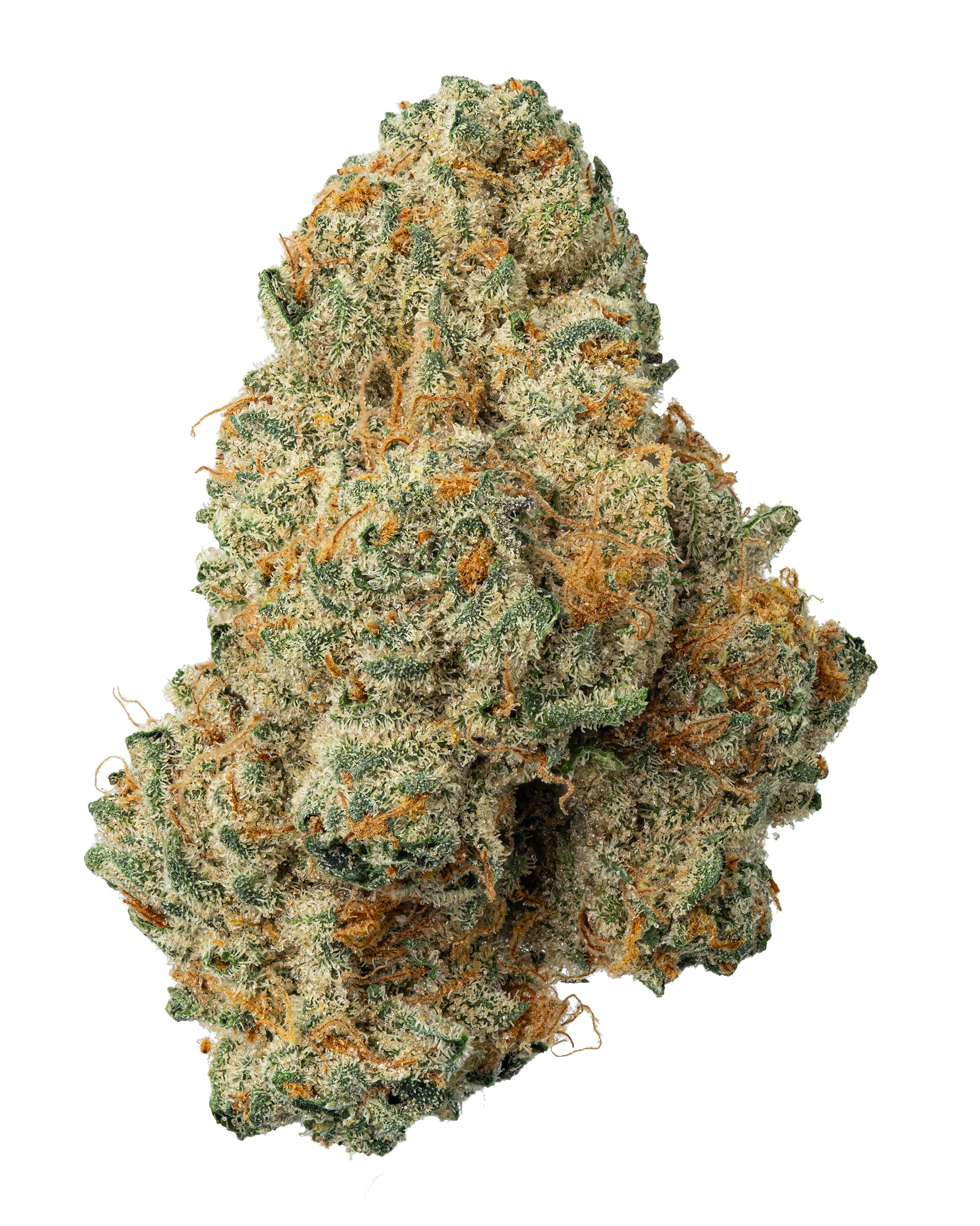Photograph of product: Sugar Biscuits - Fresh - 3.5g