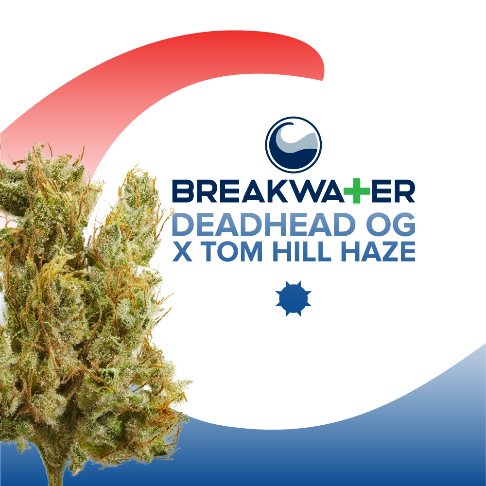 Photograph of product: Deadhead OG x Tom Hill Haze Premium Flower - 7g