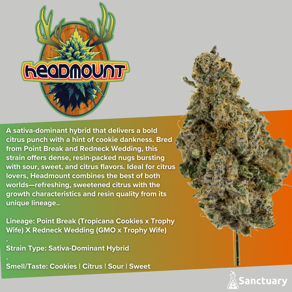 Photograph of product: Sanctuary - Headmount - Flower - 3.5g