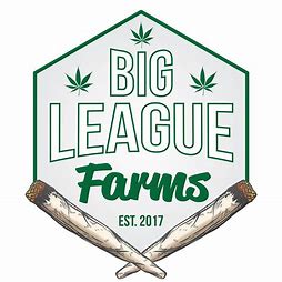 Photograph of product: Big League Ice Cream Cake - 28g
