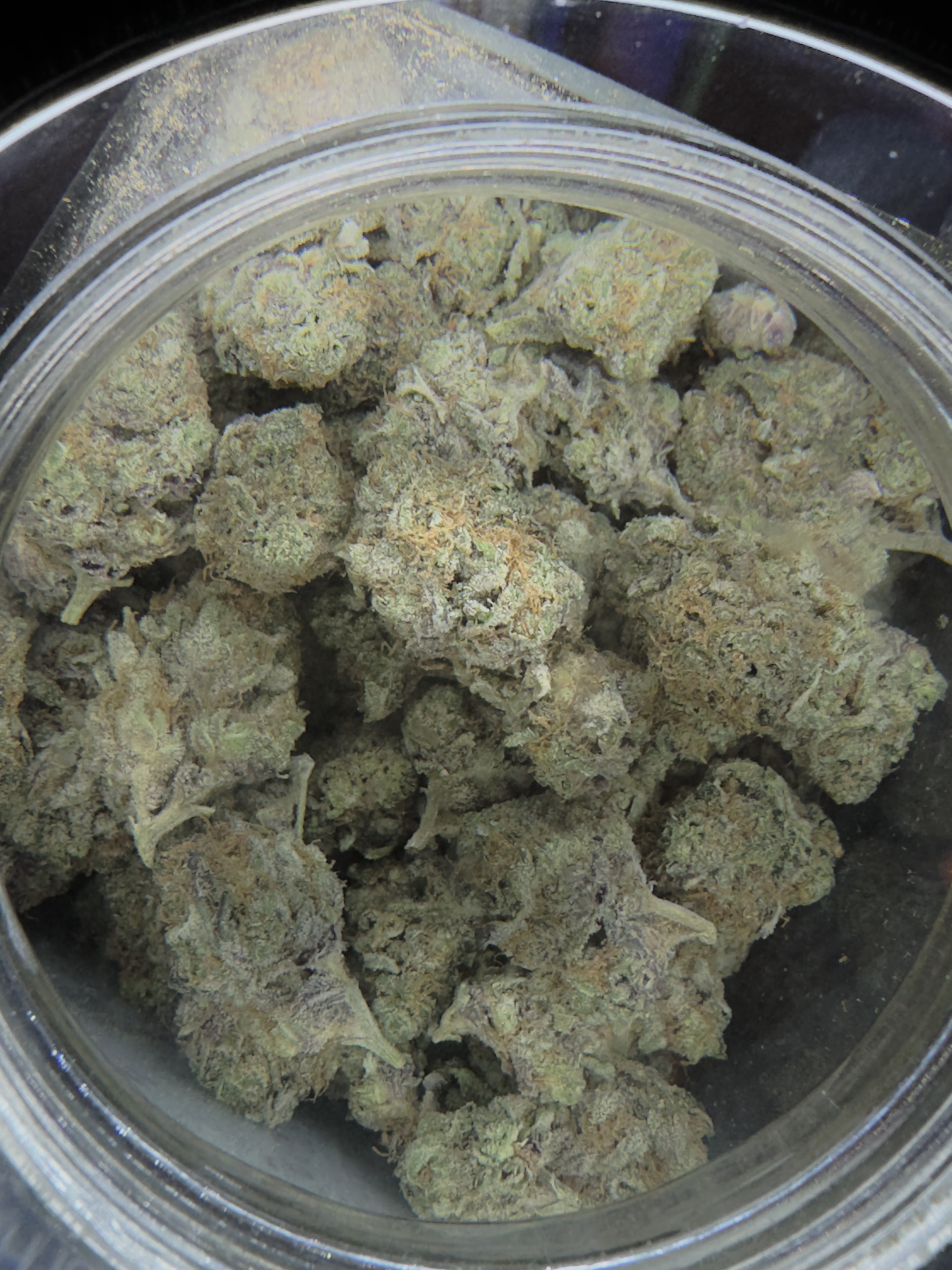 Photograph of product: Black Papaya - 28g