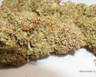 Photograph of product: Calyxeum - Bulk Flower - Glueberry - 28g