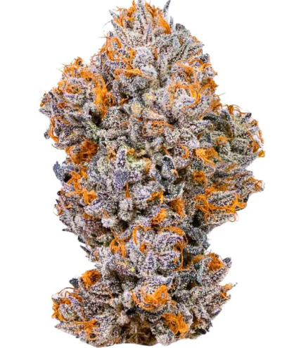 Photograph of product: Honey Badgers Buds | Flower (A Bud) | Skorpion King | Oui'd - 28g