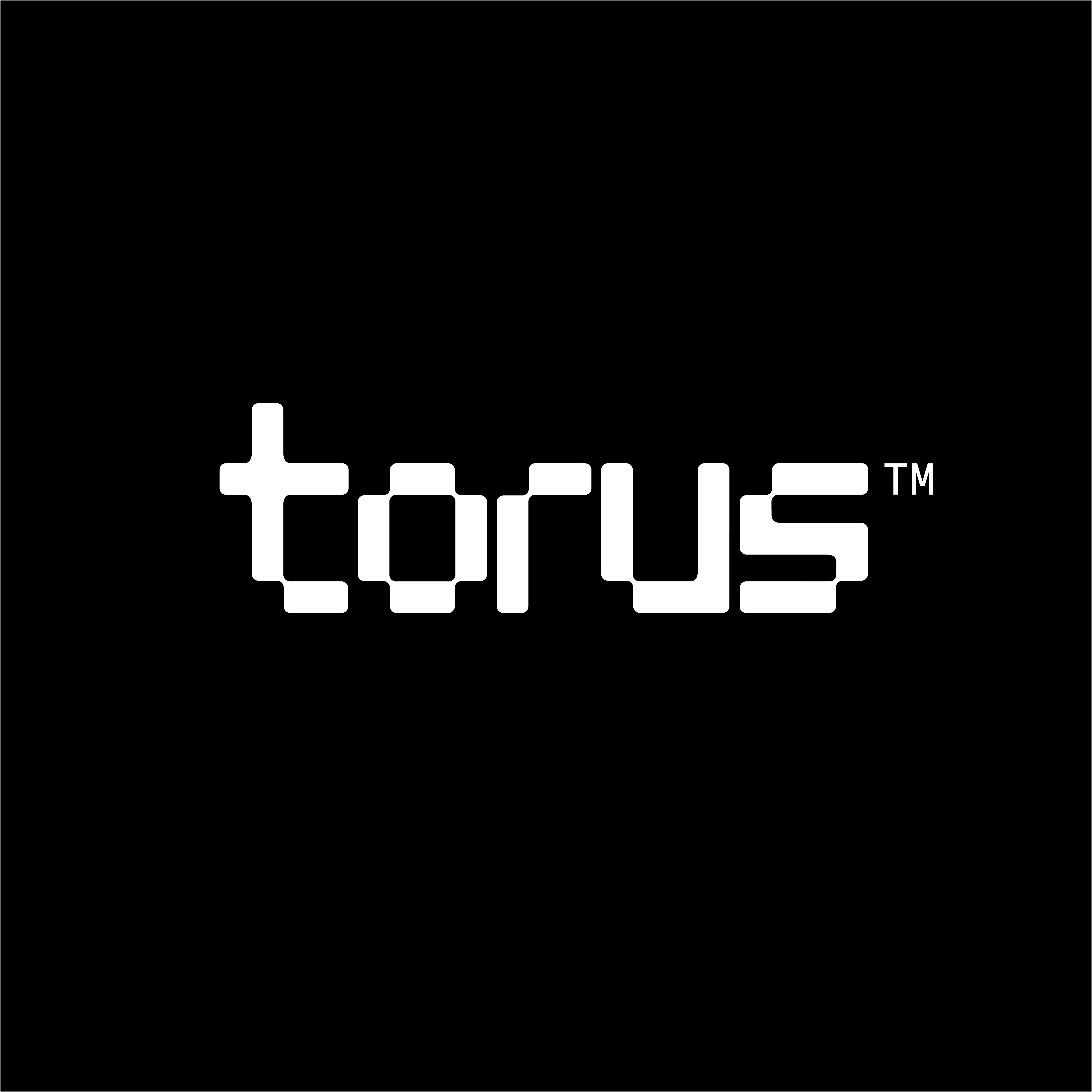 Logo for Brand Torus