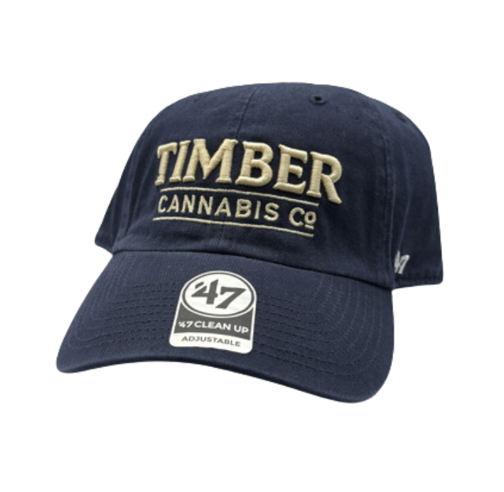 Photograph of product: Timber Dad Hat Navy