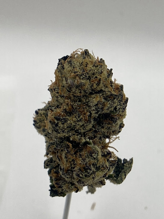 Photograph of product: Growing Up | Croissant | $90 OZ - 28g