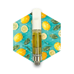 Photograph of product: Lemon Slushie | Vape | 1g