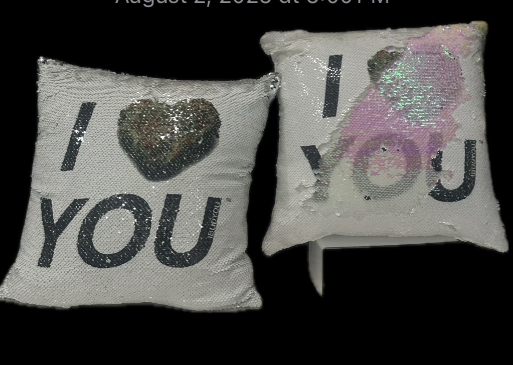Photograph of product: I Bud You | Sequin Pillow