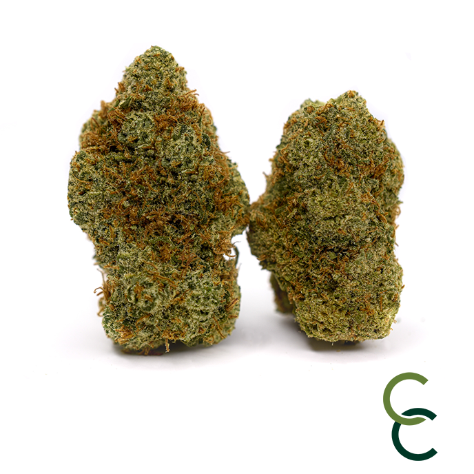 Photograph of product: Mango Lemonade - 3.5g
