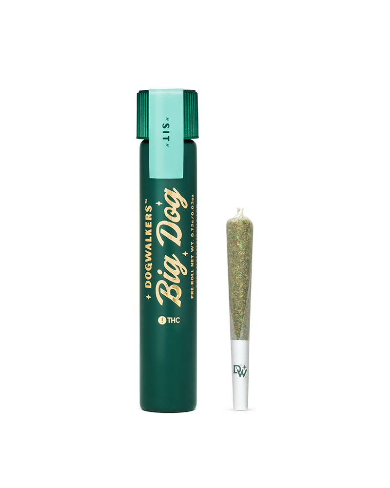 Photograph of product: Sit LA KUSH CAKE Big Dog | Single