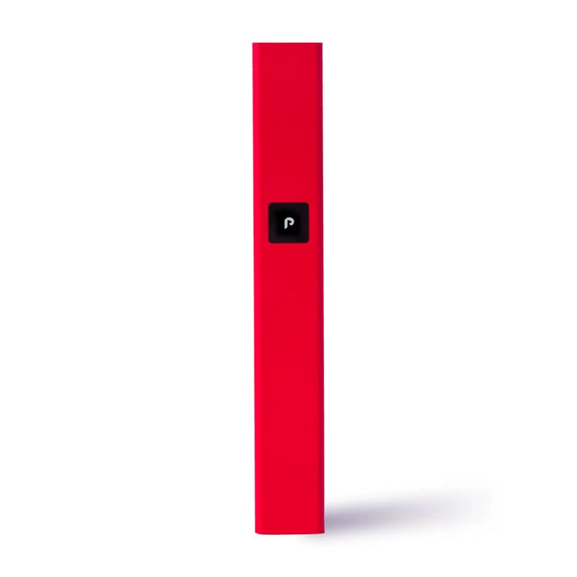 Photograph of product: Red Steel Battery PlugPlay